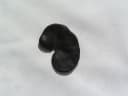 Enterolobium contortisiliquum