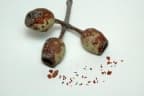 Corymbia gummifera