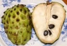 Annona × atemoya