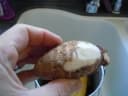Colocasia esculenta antiquorum