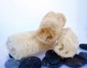 Luffa acutangula