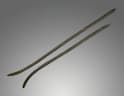 Cassia sieberiana