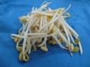 Glycine max