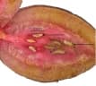 Casearia guianensis